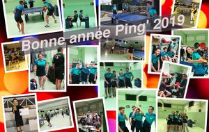 Bonne année Ping' 2019